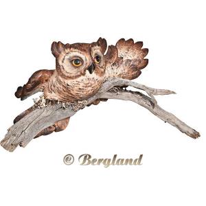 Owl flying on branch for the wall