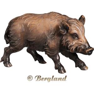 Wild boar sow