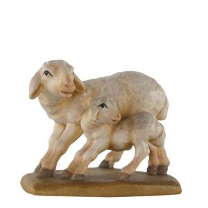 Gruppo pecore in piedi p.semplice