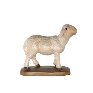 Sheep standing baroque crib