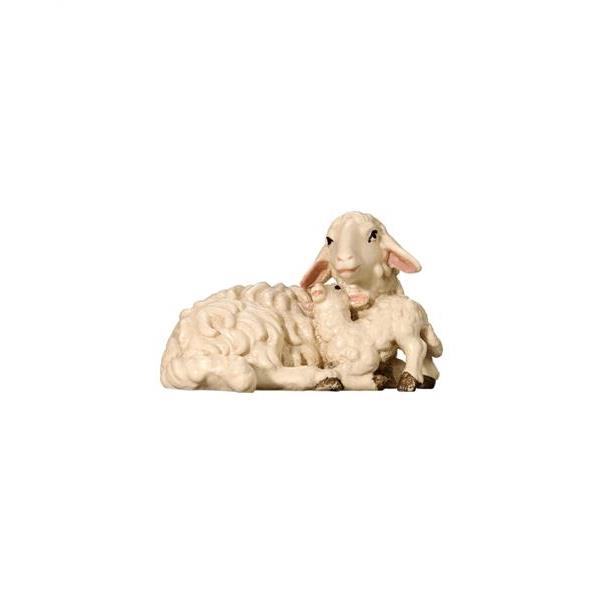 Sheep lying with lamb - 