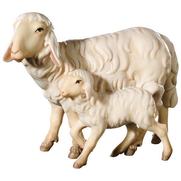 Group of 2 Sheep standing - color