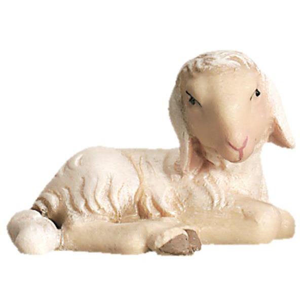 Lamb lying - color