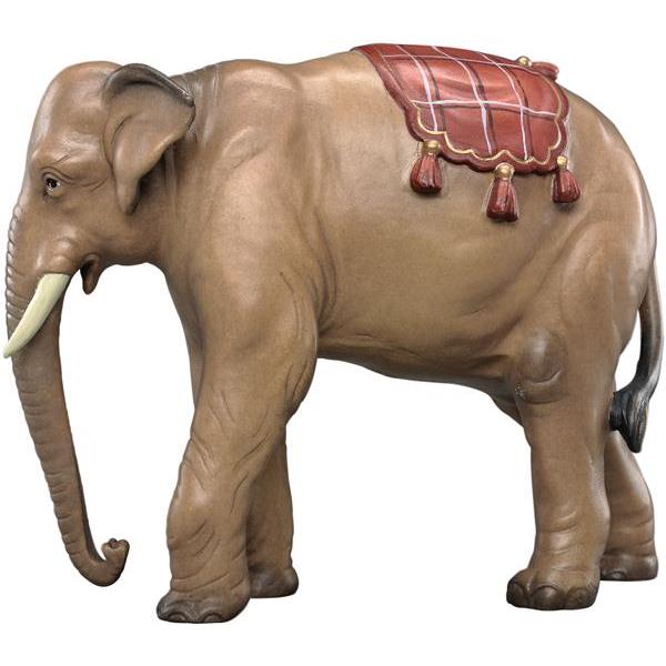 Elephant without luggage - color
