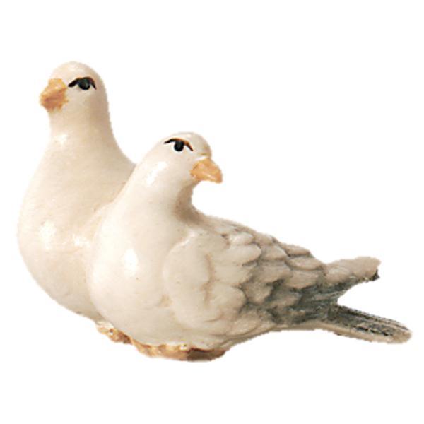 Pair of pigeons - color