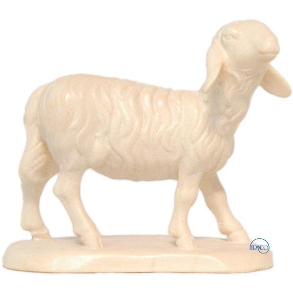 Sheep head raised up - natural