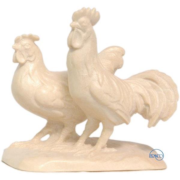Group of cock and hen - natural
