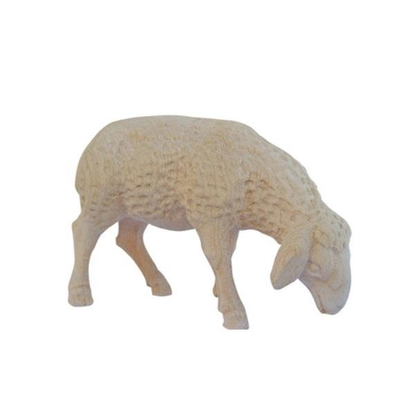 Sheep - natural