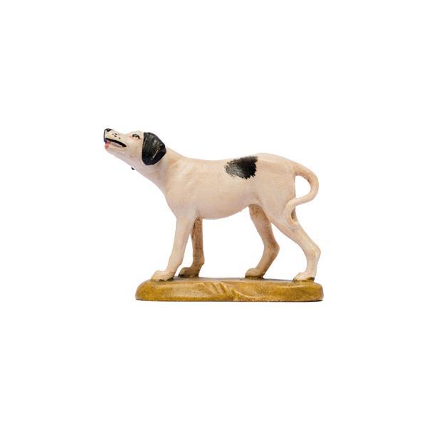 IN W.b.Dog - Pointer - color