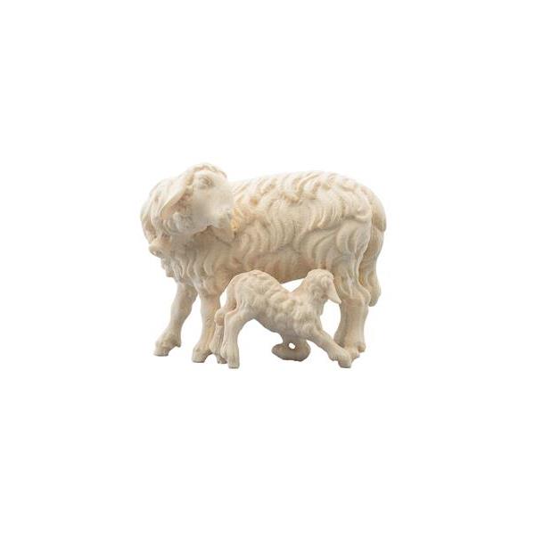 IN Sheep with lamb feeding - natural