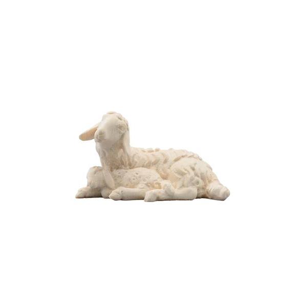 SI Sheep laying with lamb sleeping - natural