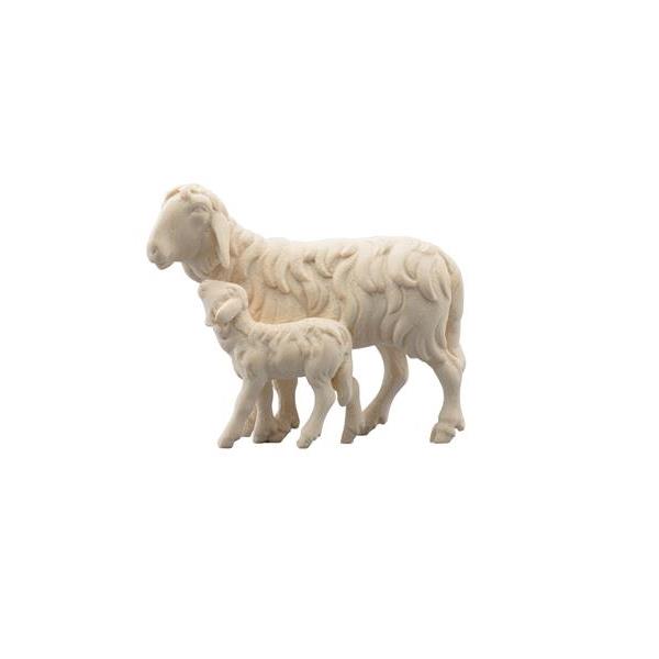 SI Sheep running with lamb - natural