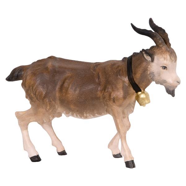Goat buck - natural