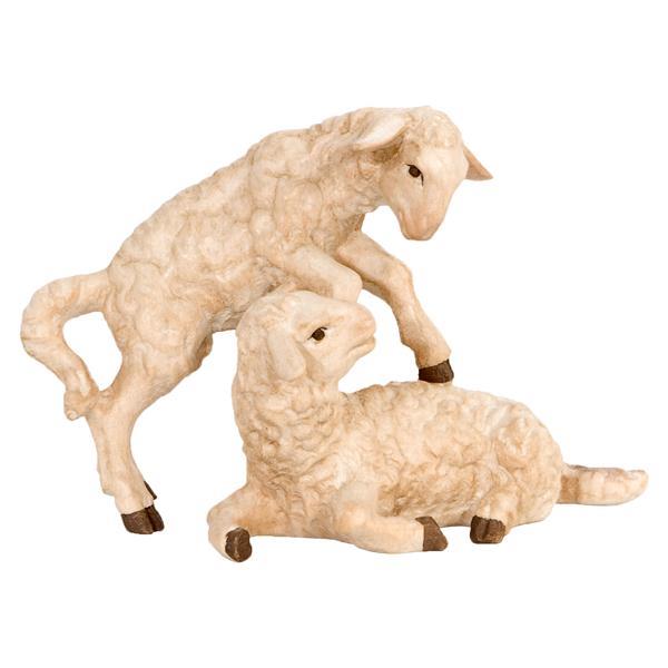 Group of Lambs - natural