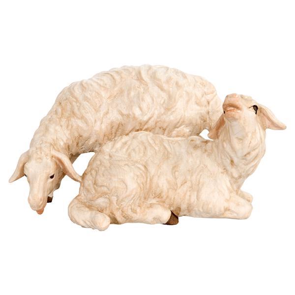 Group of Sheep - natural