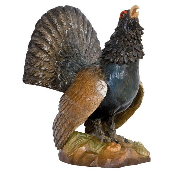 Wood Grouse - natural