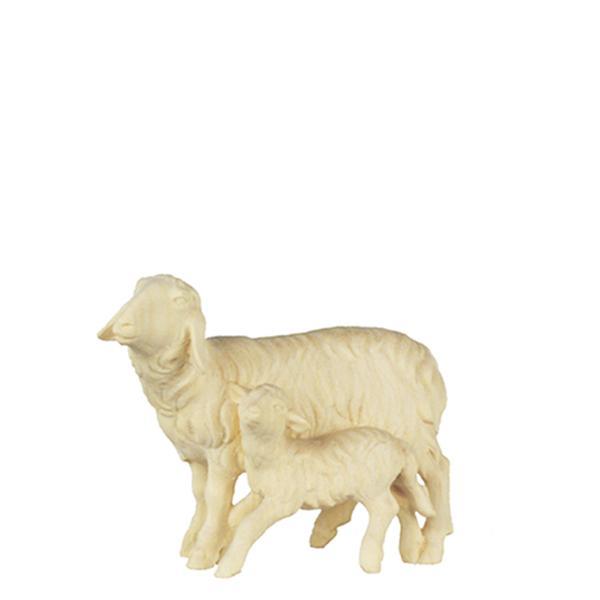 O-Sheep & lamb standing - natural