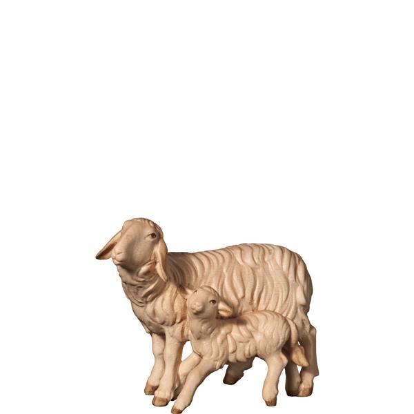 H-Sheep and lamb standing - hued multicolor