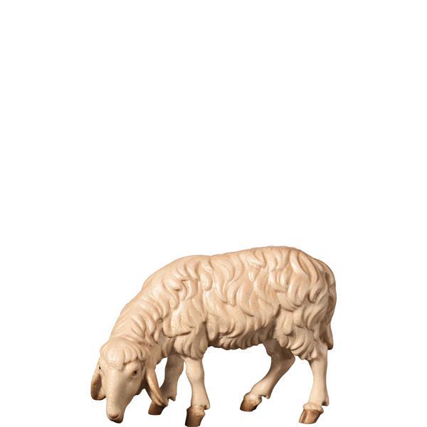 H-Sheep grazing left - hued multicolor