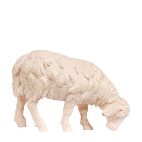 Sheep new - natural