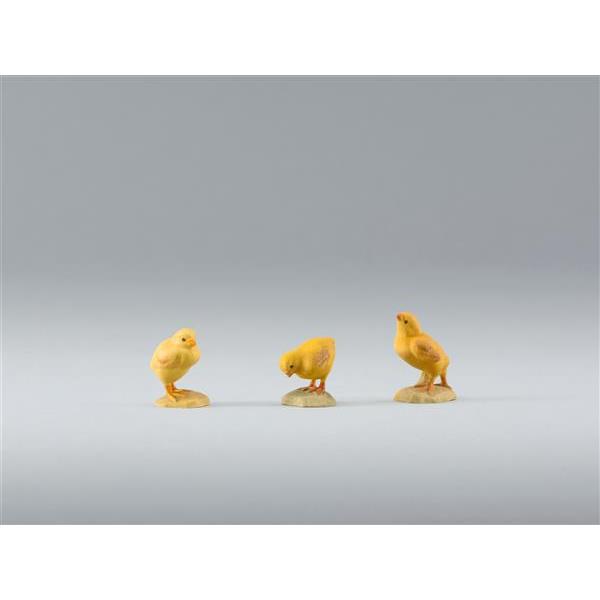 3 Chick - color