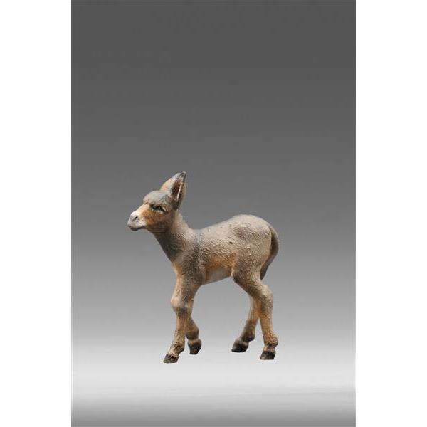 Donkey foal - color