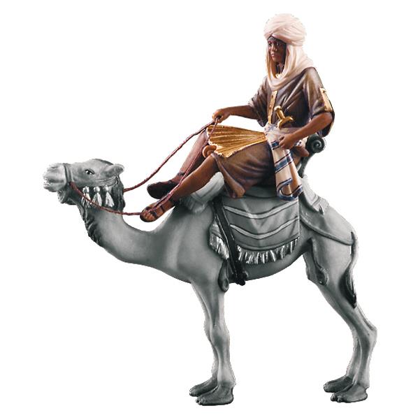 Camel rider - color