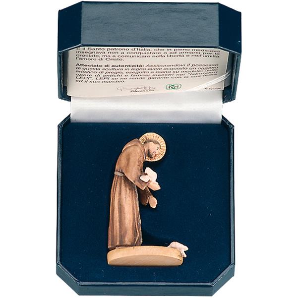 St. Francis of Assisi with case - color