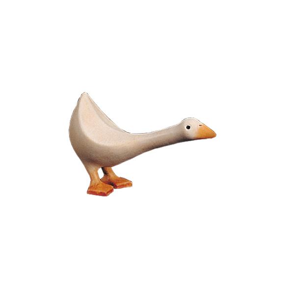 Goose leaned forward - color