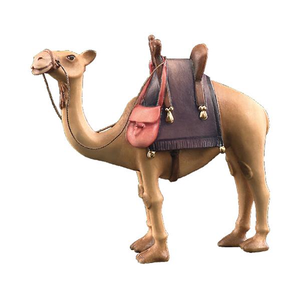 Camel - color