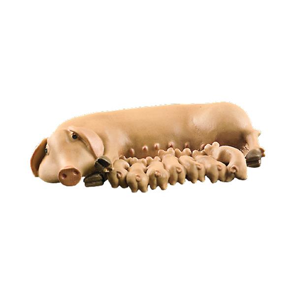 Pig with piglets - color