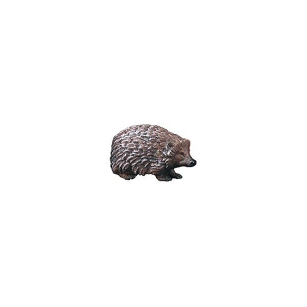 Hedgehog - color