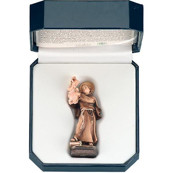 St.Anthony od Padua with case - color