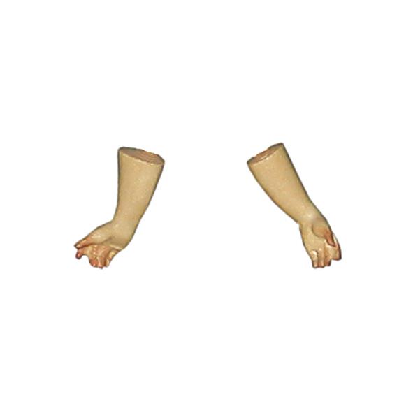 Child - pair of hands - color