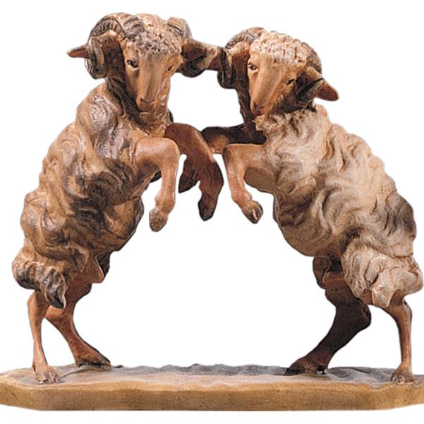 Pair of rams fighting - color