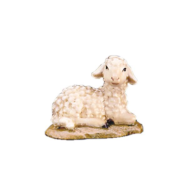 Lamb lying - color