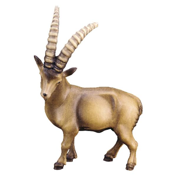 Ibex (without pedestal) - color