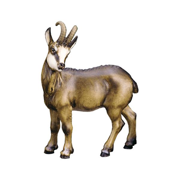 Chamois (without pedestal) - color