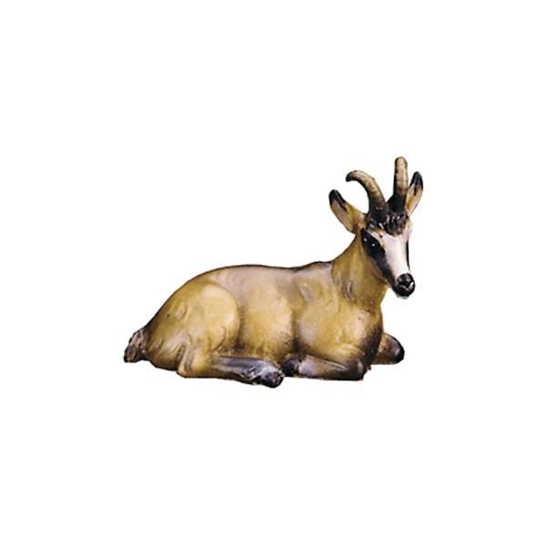 Female chamois lying (w/out pedestal) - color