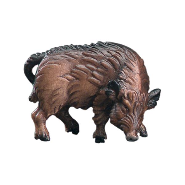 Wild sow - color