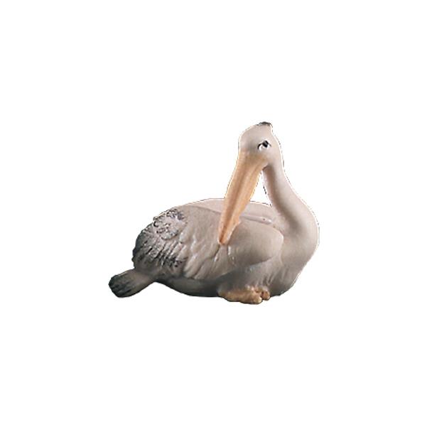 Pelican - color