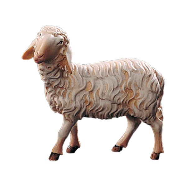 Sheep standing (without pedestal) - color