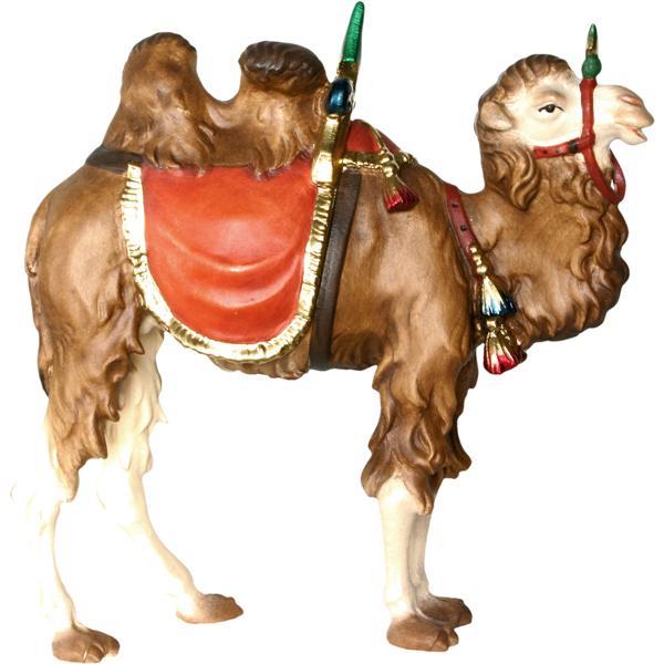 Camel - color