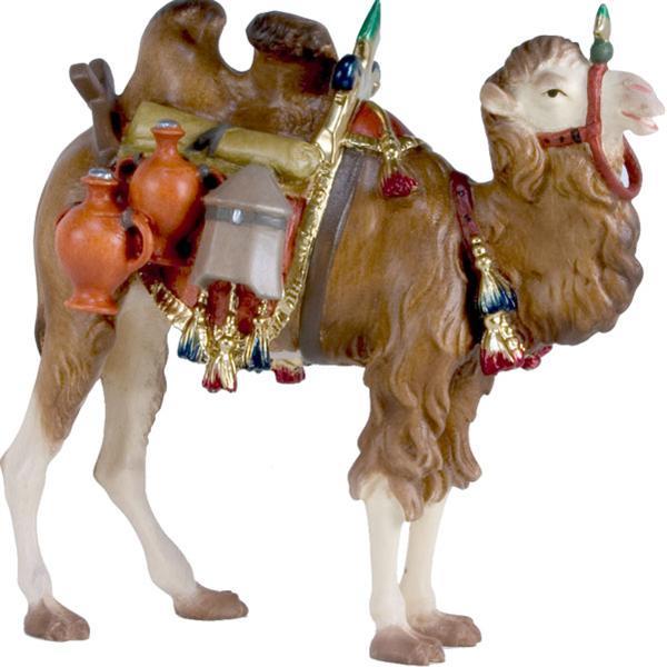 Camel with baggage - color