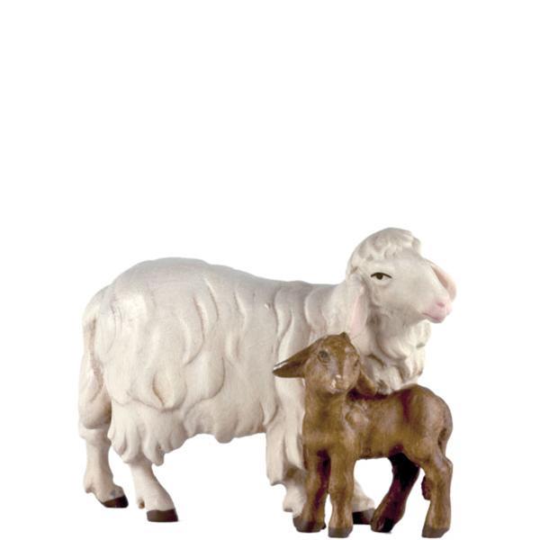 Sheep with 1 lamb - color