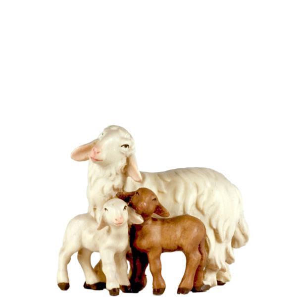 Sheep with 2 lambs - color