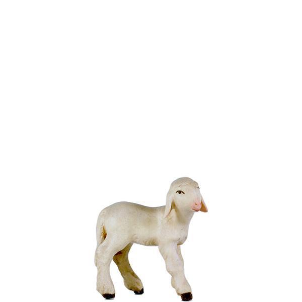 Lamb left - color