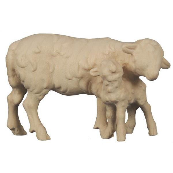 Sheep with lamb standing - natural