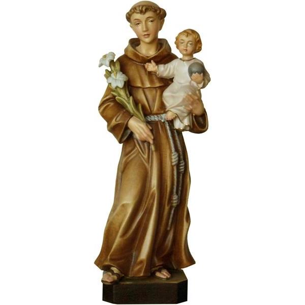 Saint Anthony with lily - color