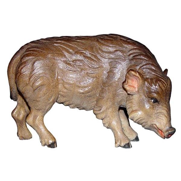 Wild sow in pine - color